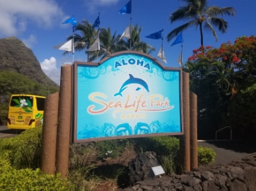 Honolulu_Sea_Life_Park_1