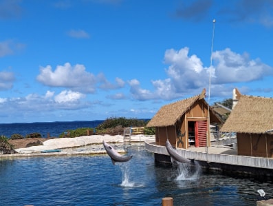 Honolulu_Sea_Life_Park_4
