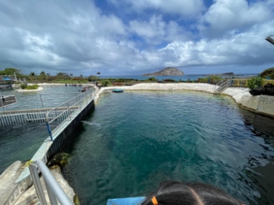 Honolulu_Sea_Life_Park_7