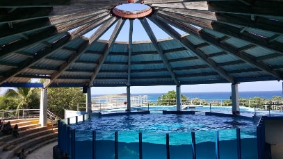 Honolulu_Sea_Life_Park_9