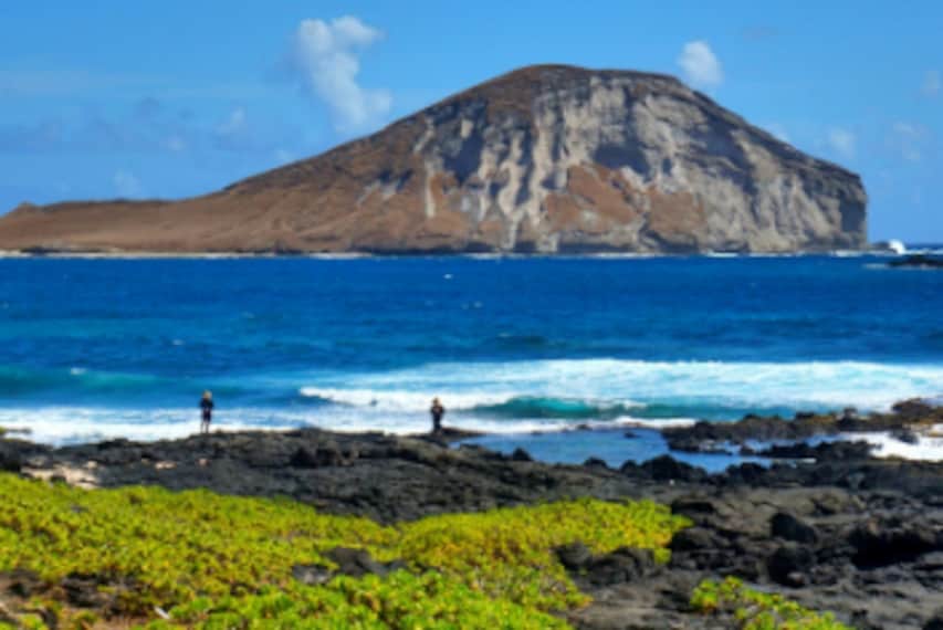 Honolulu_Bird_Island_2