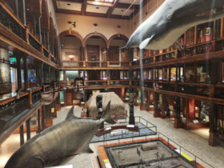 Honolulu_Bishop_Museum_2