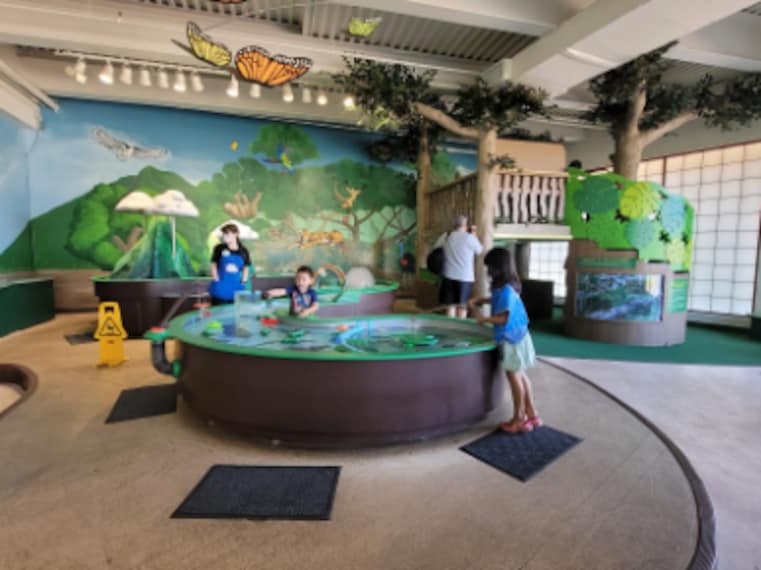 Honolulu_Childrens_Discovery_Centre_7