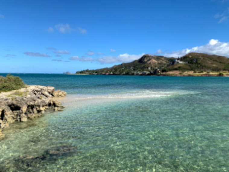 Honolulu_Flat_Island_2