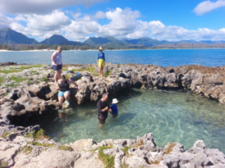 Honolulu_Flat_Island_3