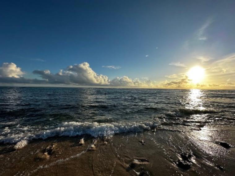 Honolulu_Flat_Island_7