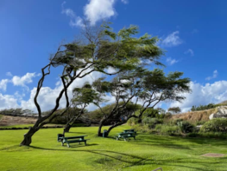 Honolulu_Hanauma_Bay_5