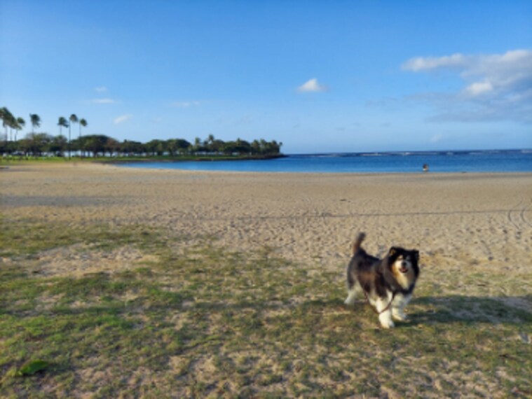 Honolulu_Magic_Island_9