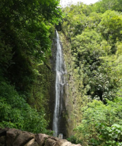 Honolulu_Manoa_Falls_1