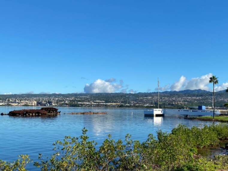 honolulu_poka_ailana_8