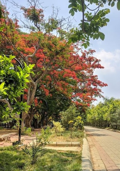 Walkers_path_and_children_park_3