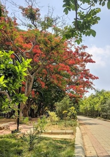 Walkers Path and Children Park