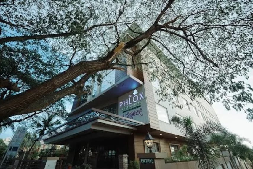 The_Phlox_Hubli_1