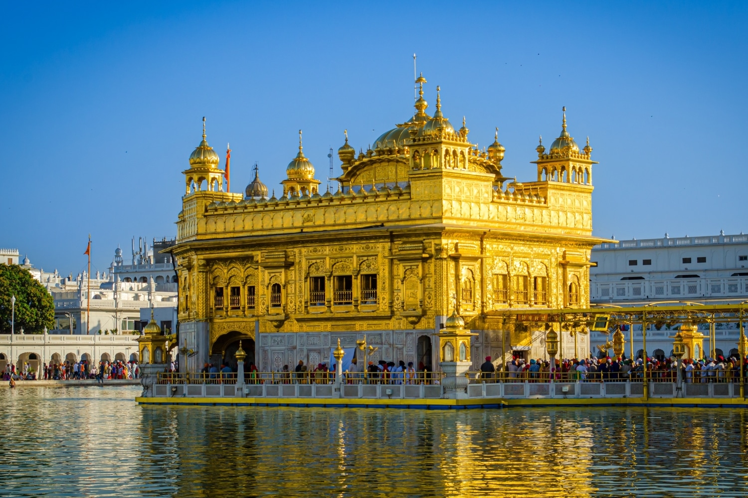Golden Temple and Jallianwala Bagh Morning Guided Tour