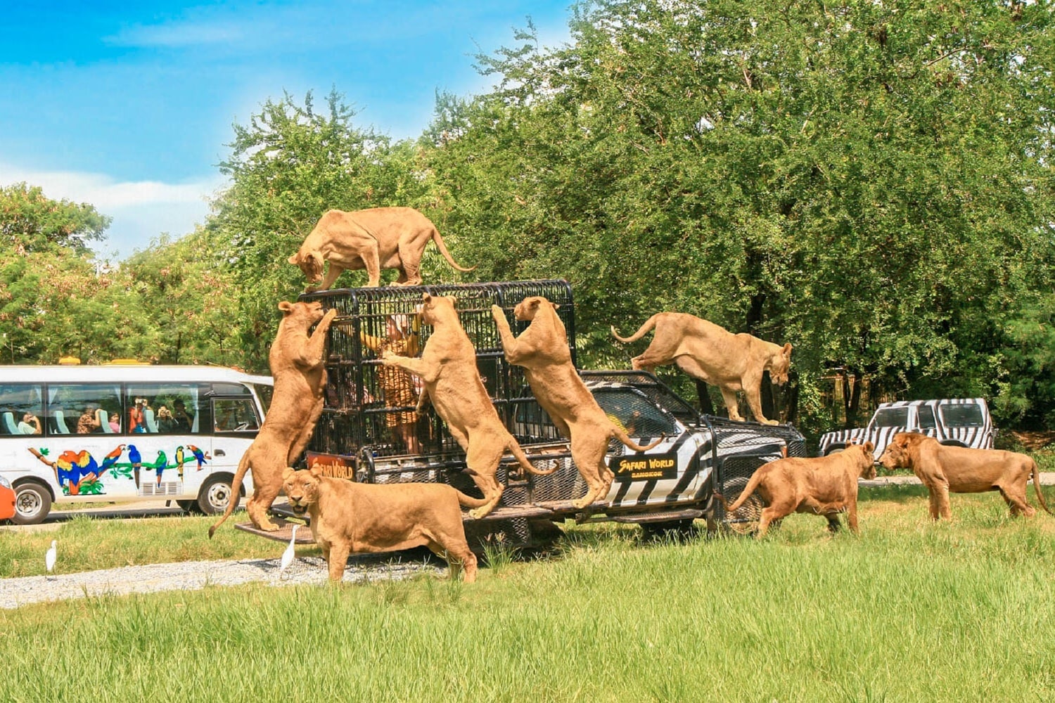 Safari World Bangkok