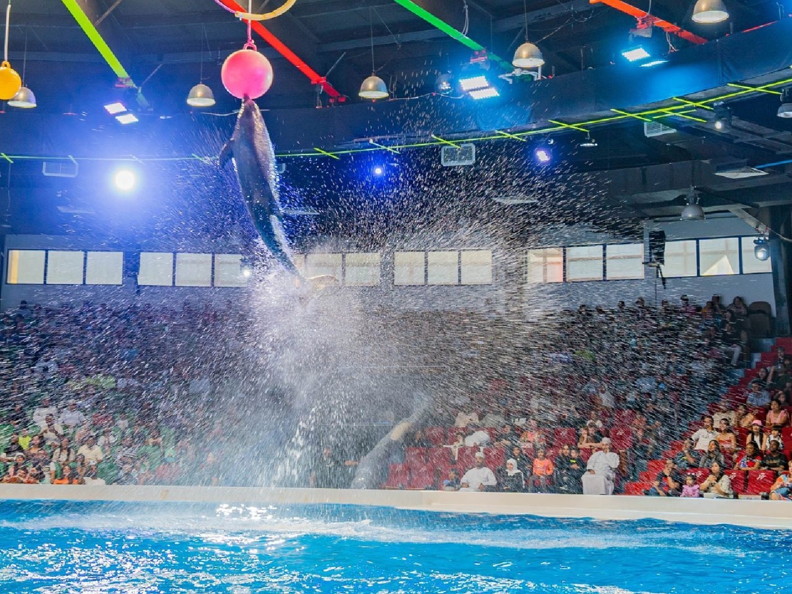 Dubai Dolphinarium