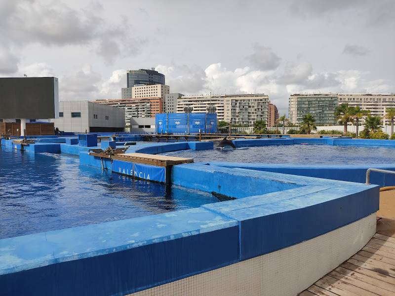 Valencia_Oceanografic_5