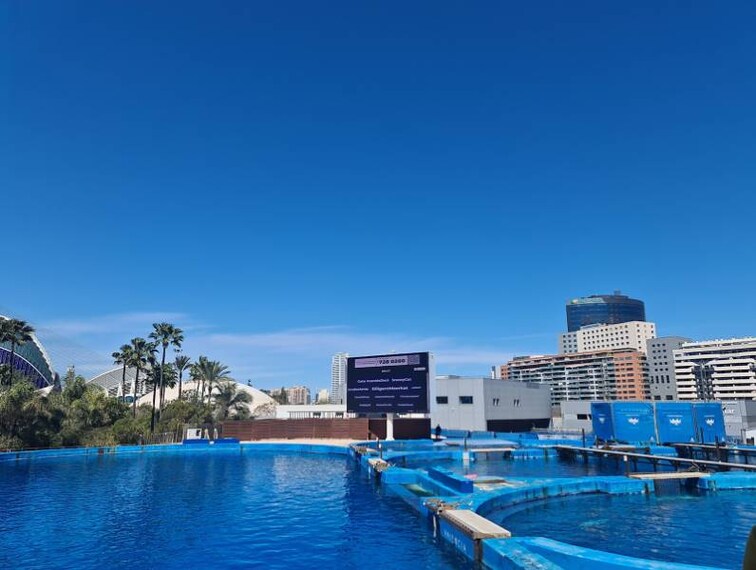 Valencia_Oceanografic_8