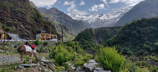 Yamunotri_Janki_chatti_1