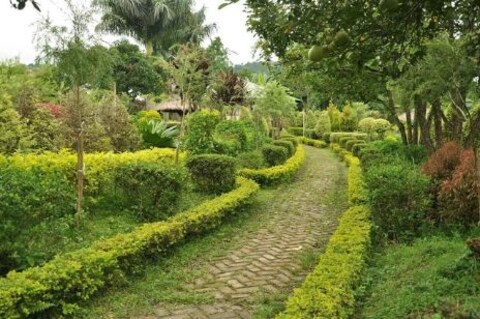 Relax at Matai Garden