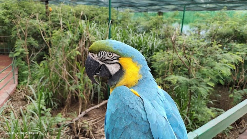 Chidiya_Badhak_Falls_2