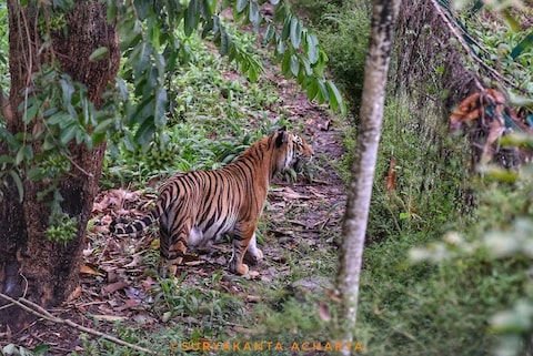 Itanagar Wildlife Sanctuary