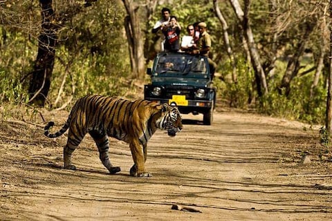 Namdapha National Park