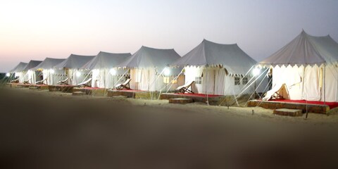 Payal Safari Camp