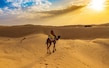 Jaisalmer_adventure