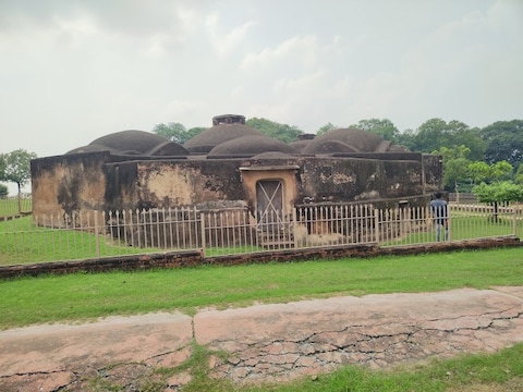 Botany Museum
