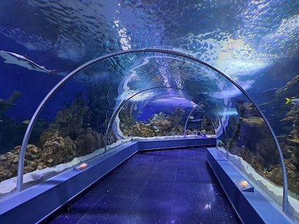 Fakieh Aquarium