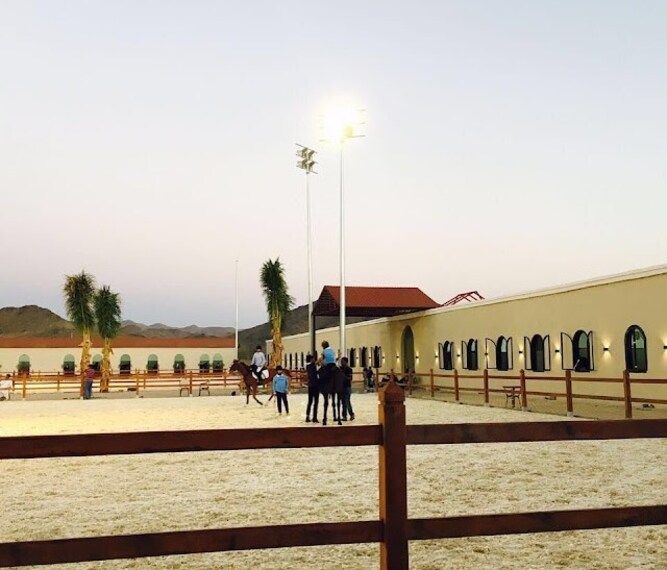 Horse_Riding_Jeddah_2