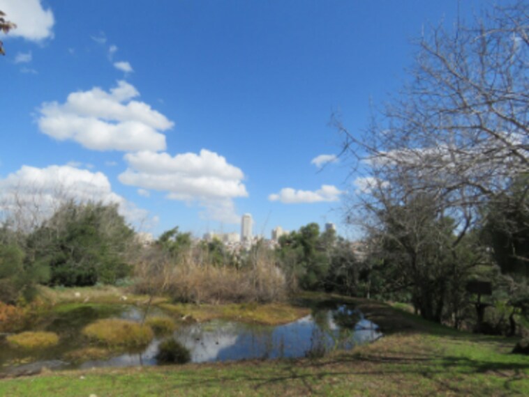 Jerusalem_Bird_Observatory_5