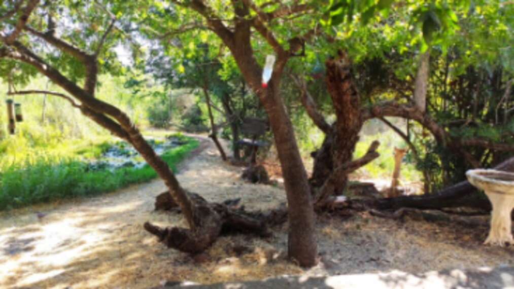 Jerusalem_Bird_Observatory_6