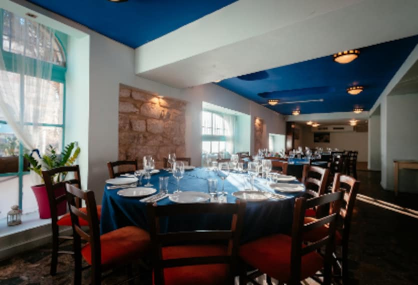 Jerusalem_Eucalyptus_1