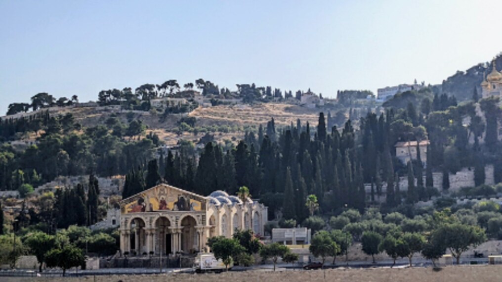Jerusalem_Gethsemane_9