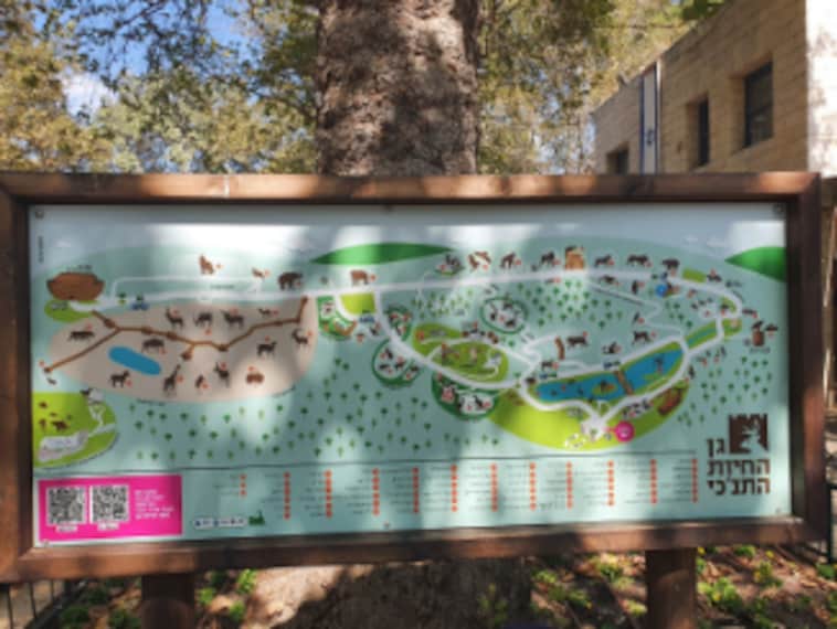 Jerusalem_Jerusalem_Biblical_Zoo_10