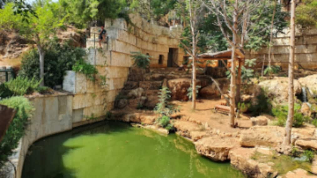 Jerusalem_Jerusalem_Biblical_Zoo_6