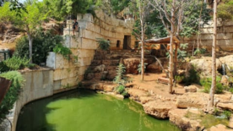 The Tisch Family Zoological Gardens