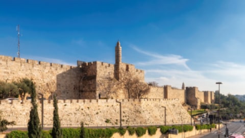 Tower of David