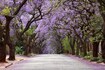 johannesburg_dest_5