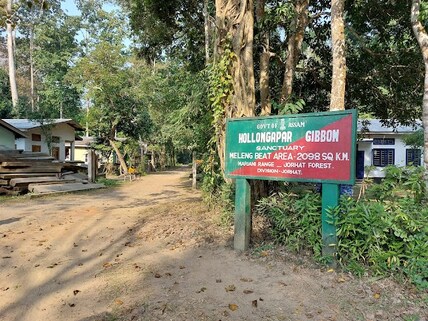 Hoollongapar Gibbon Wildlife Sanctuary
