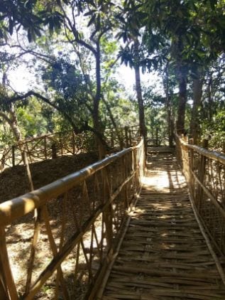 Kabini Nature Walks Portrait Image