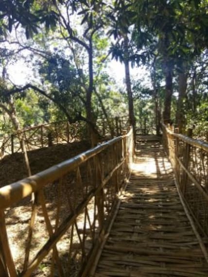 Kabini Nature Walks Portrait Image
