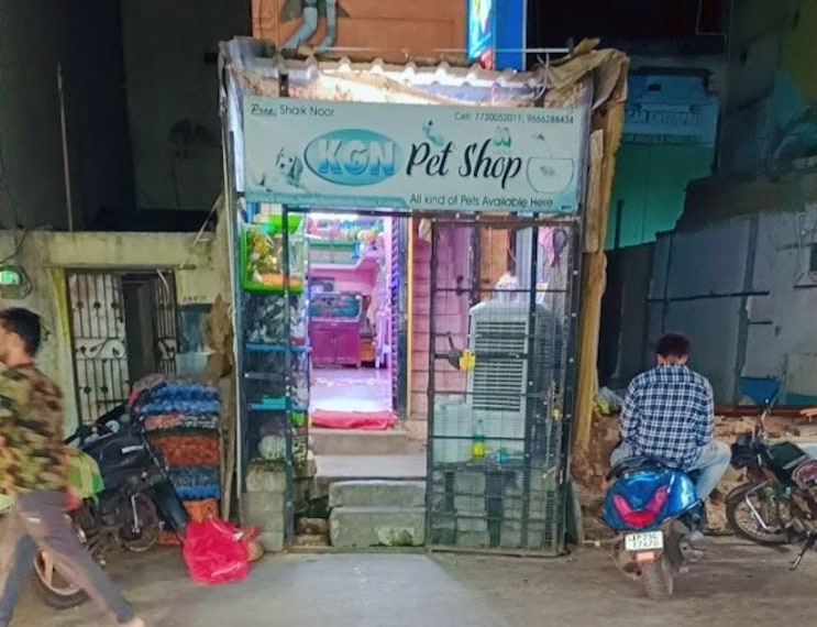 KGN_Pet_Shop_1