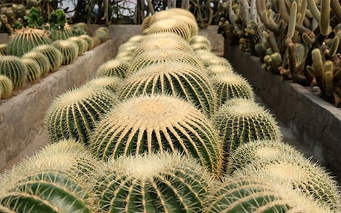 Tour the Pine View Nursery