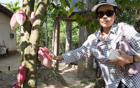 New Ranweli Spice Garden