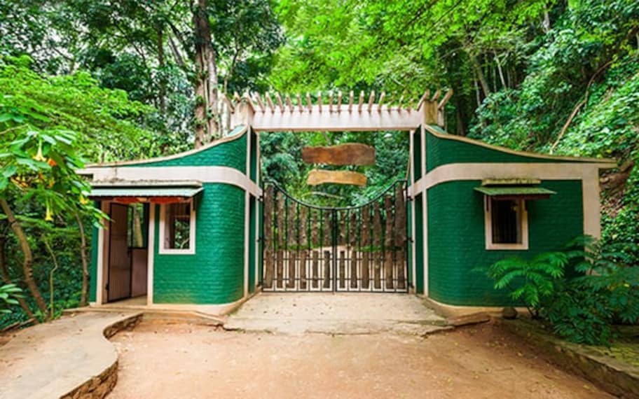 Kandy Udawattakele Forest Reserve Landscape Image