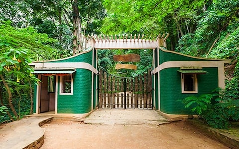 Udawattakele Forest Reserve