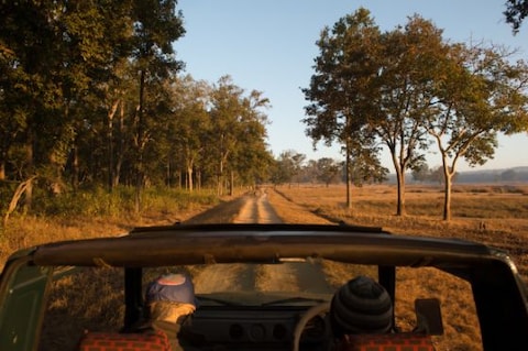 Go on a Jeep Safari at the Park